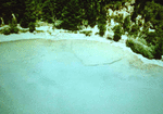 0003 Fish Trap - North of Colville_thumb.gif